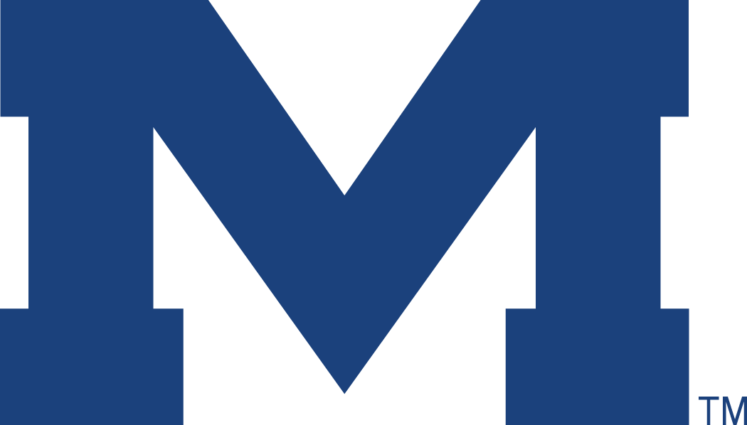 Mississippi Rebels 1996-Pres Alternate Logo v6 iron on transfers for fabric